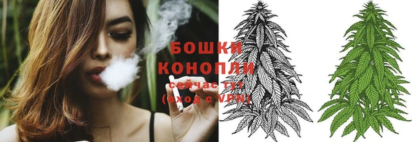 крисы Корсаков