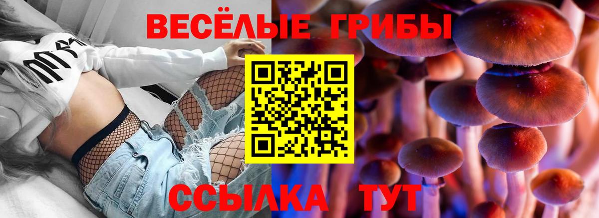 Радужный  Галлюциногенные грибы ЛСД  Вход с VPN 